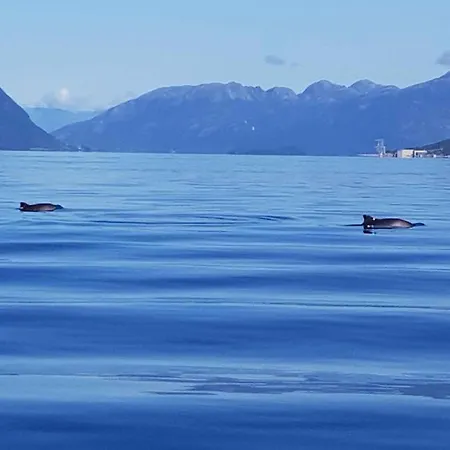 Fjordhytte-38 Bei Am Hardangerfjord Semesterbostad Rosendal
